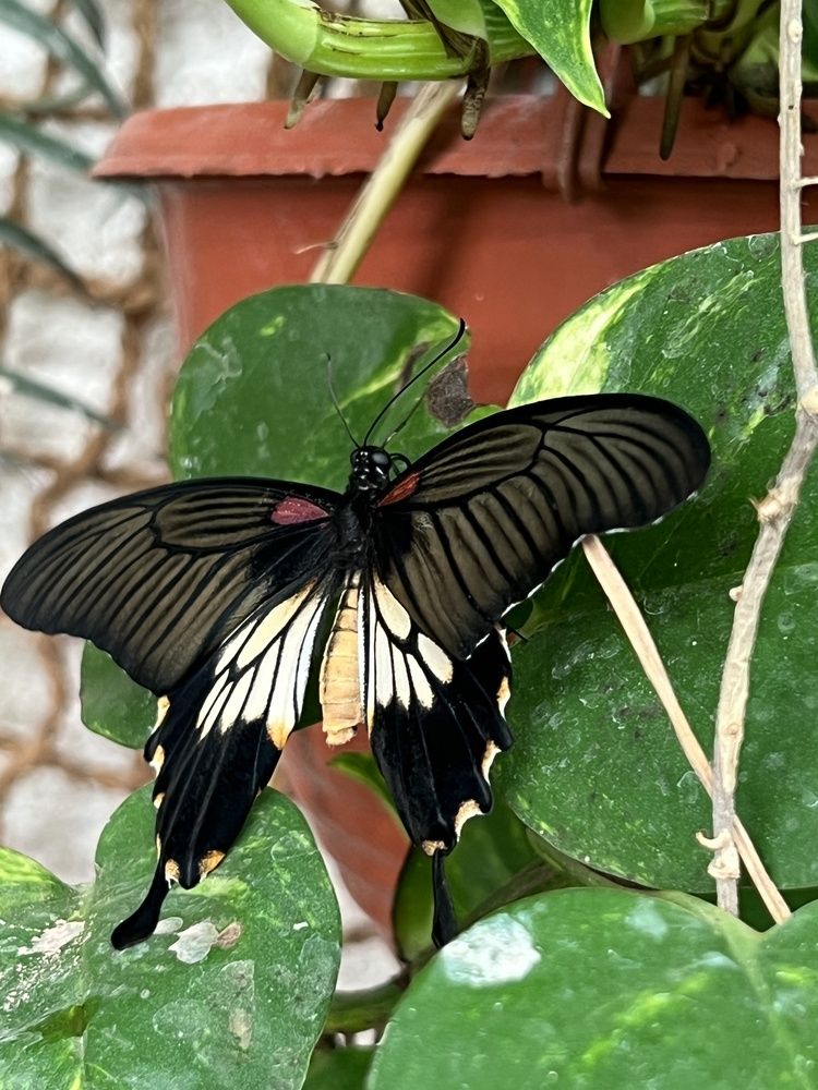 Photograph by Eugenia Schmidt