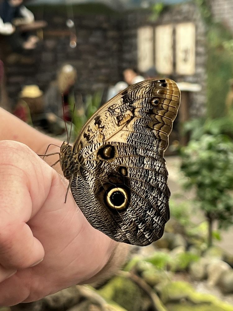 Photograph by Eugenia Schmidt