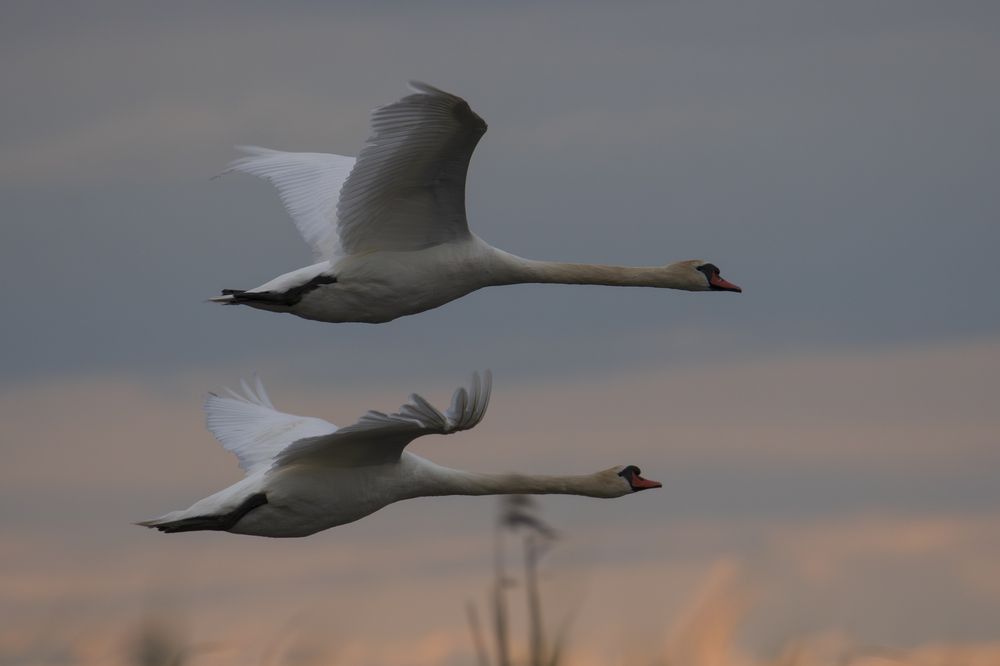 Photograph by Федорако Дмитрий