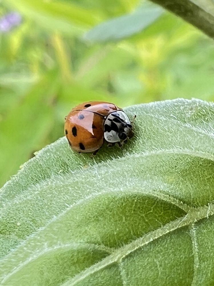 Photograph by Eugenia Schmidt