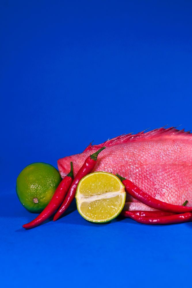 Фотография автора Екатерина Попова