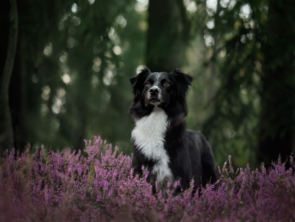 Photograph by Monika Maciejewska