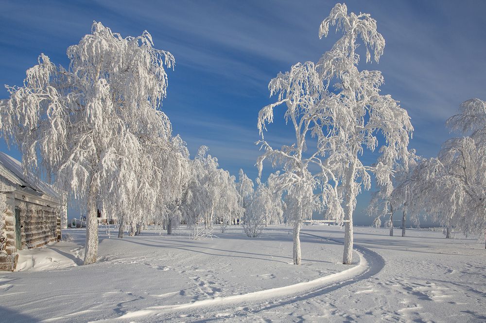 Photograph by ИГОРЬ Ваганов