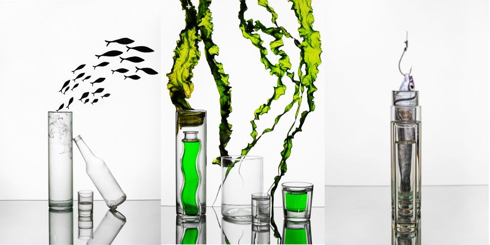 Ловушка человеческой жадности