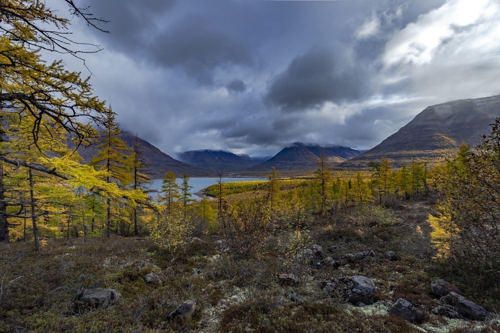 Photograph by Екатерина Лурина