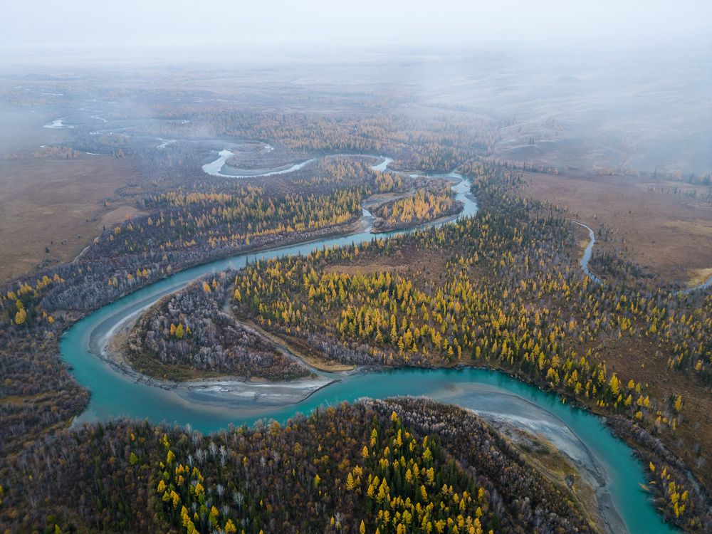 Photograph by Леонид Синев