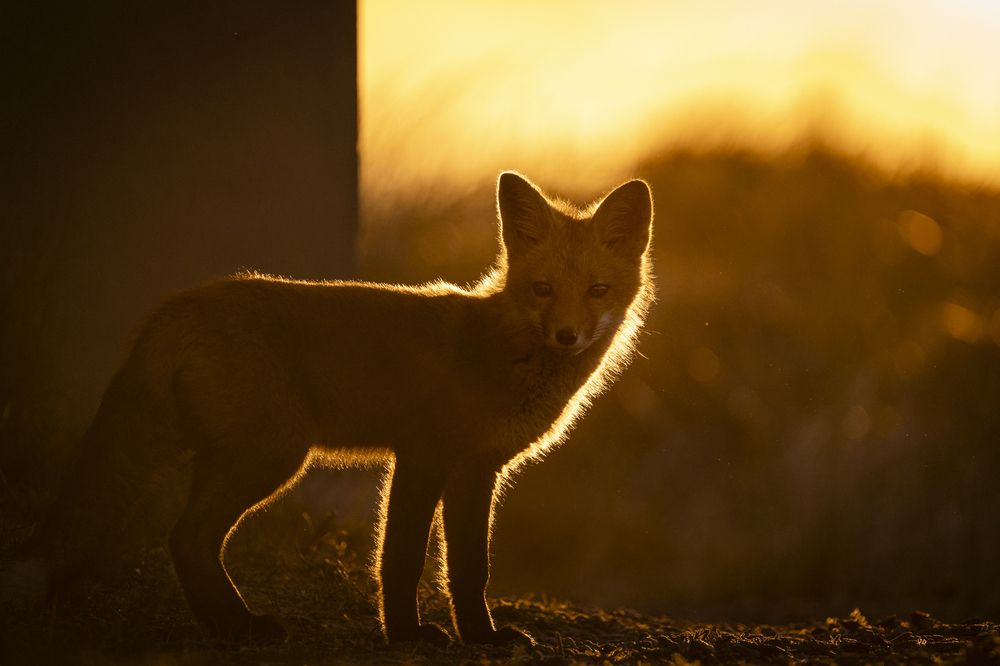 Photograph by TELAN NIRANGA