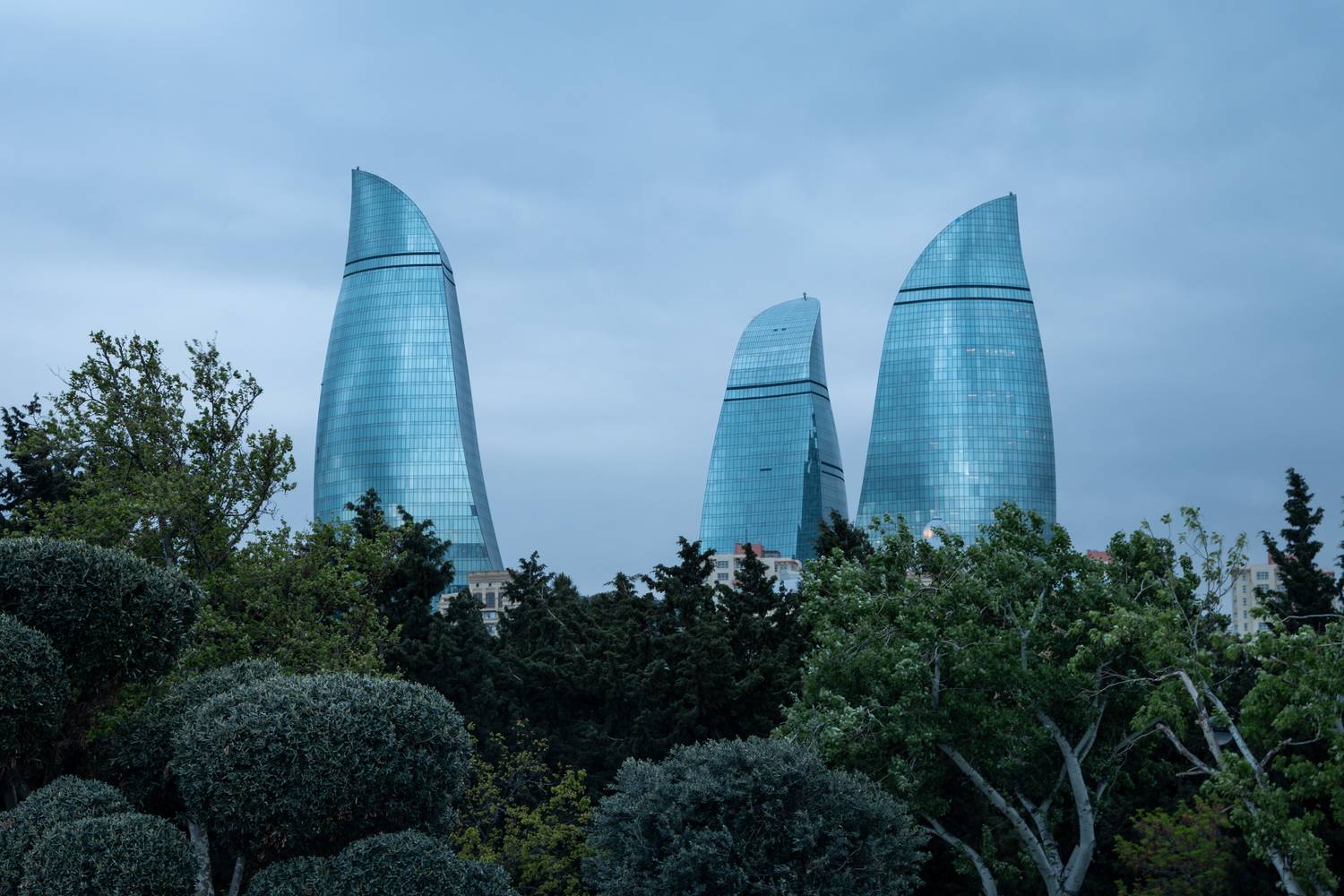 Фотография #11977935