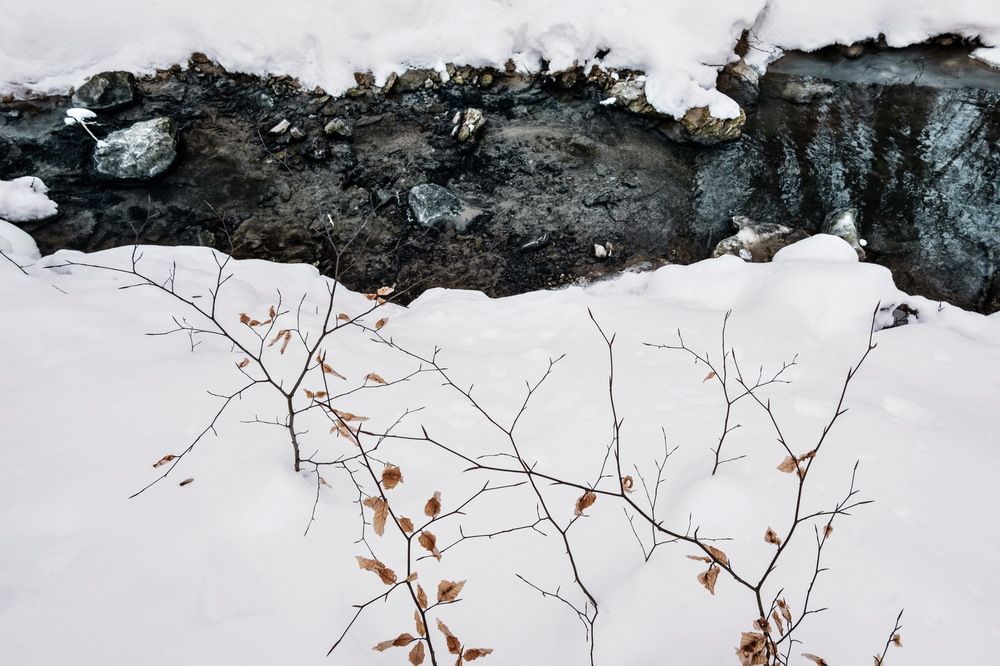 Photograph by Loptev Andrey