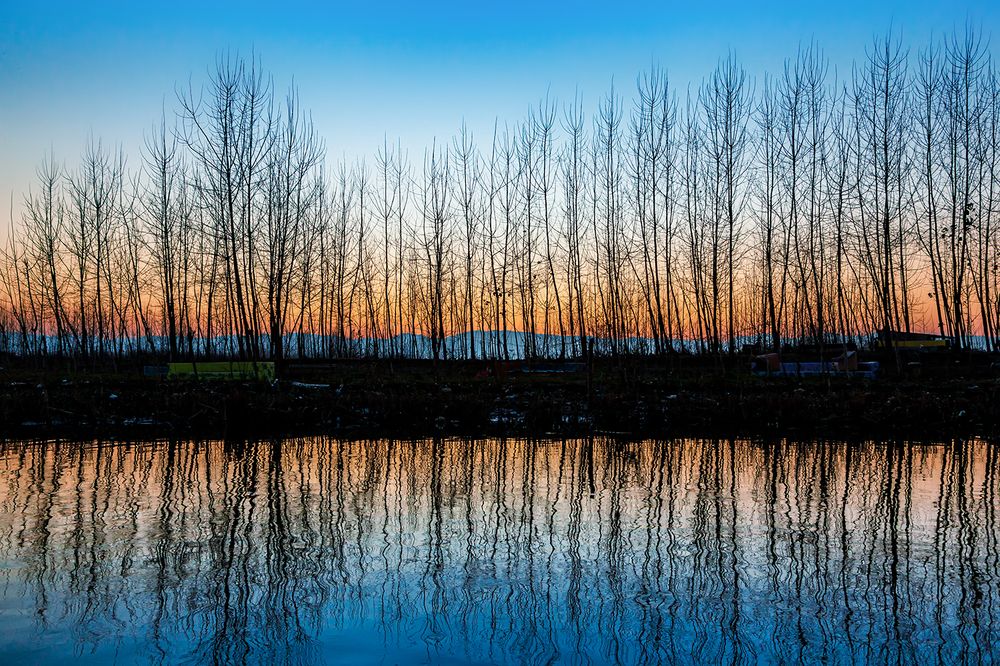 Photograph by Hengameh pirooz