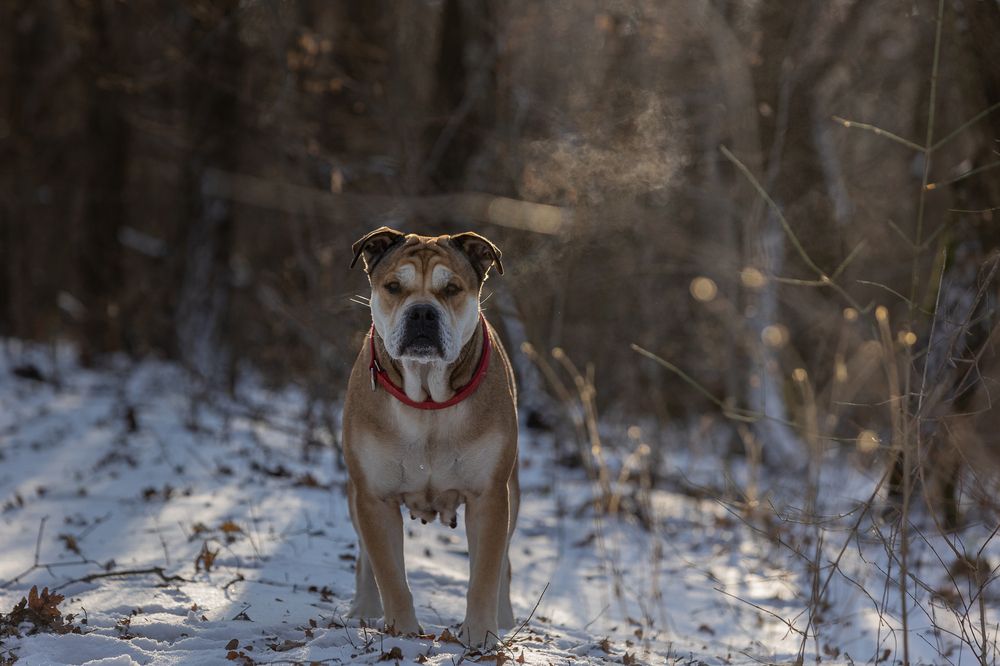 Photograph by Яна Карамышева