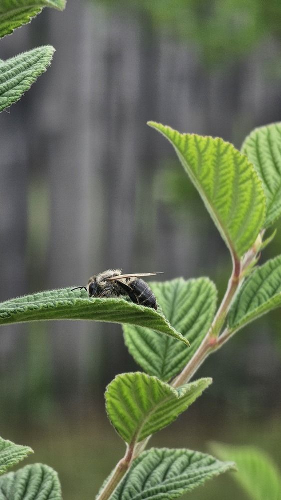 Photograph by Andreas Stroh