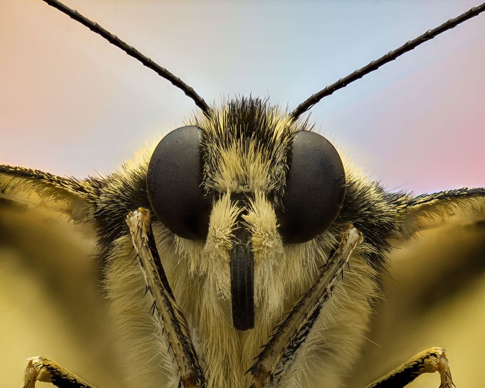 Photograph by Юрий Юрьевич Подгрушный