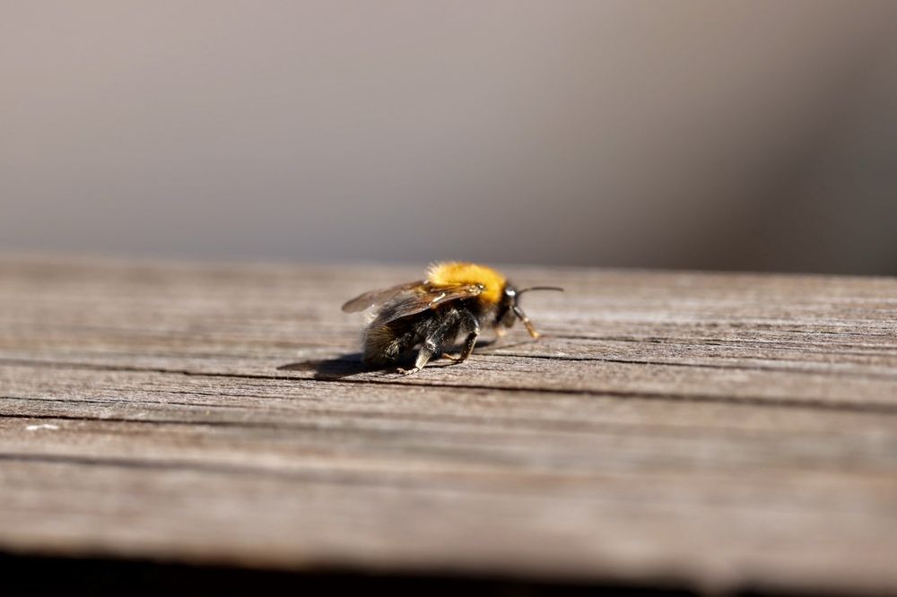 Photograph by Одаренко Ольга