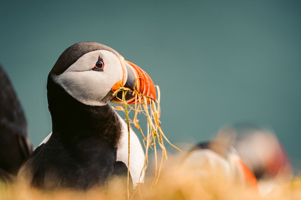 The Architect Of The Cliffs