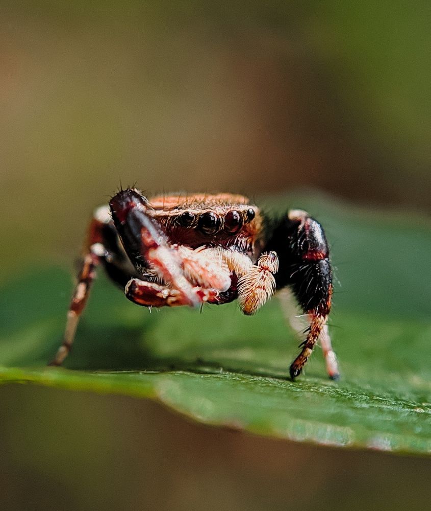 Photograph by Milinda Ashan Rajapaksha