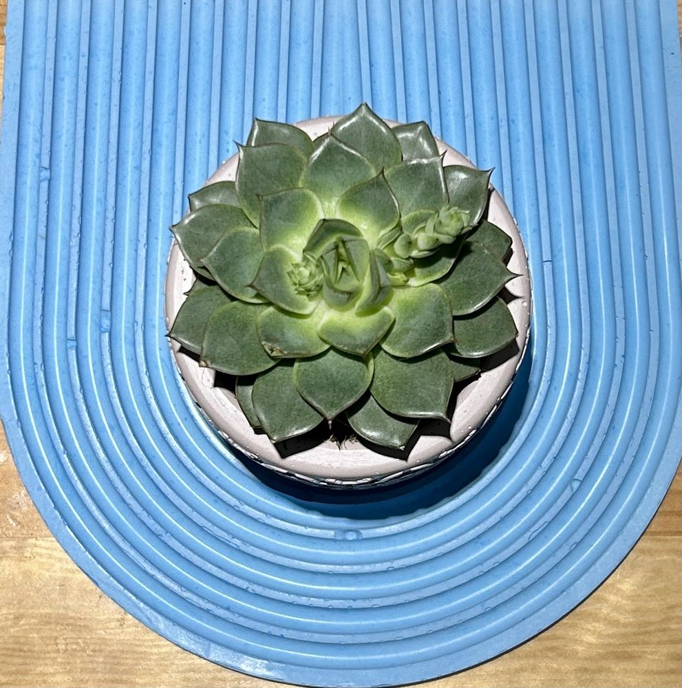 Photograph by Татьяна Третьякова