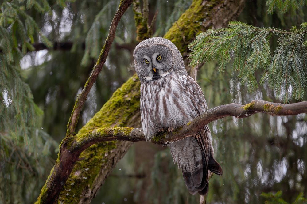 Photograph by Антон Науменко