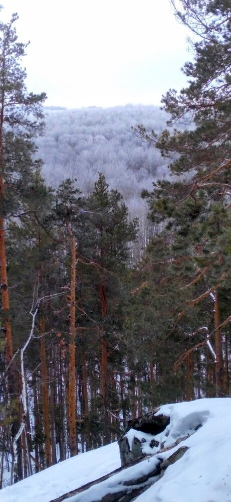 Photo #11978160
