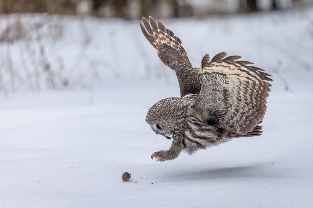 Photograph by Антон Науменко