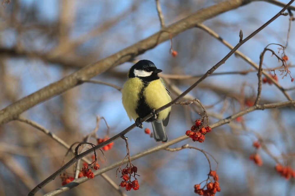 Photograph by Мария Глухова