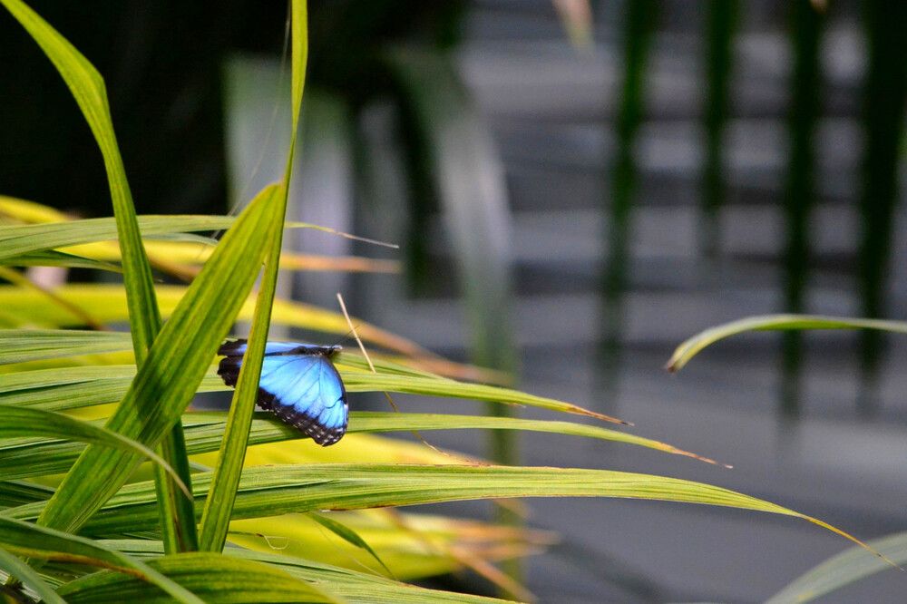 Фотография автора Jorge Martinez