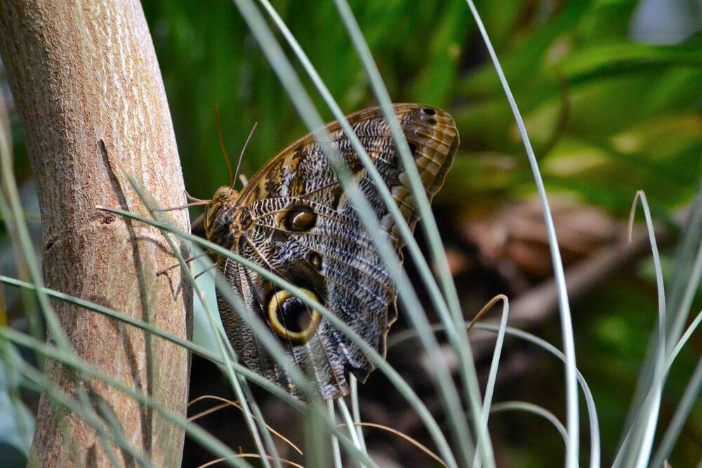 Фотография автора Jorge Martinez