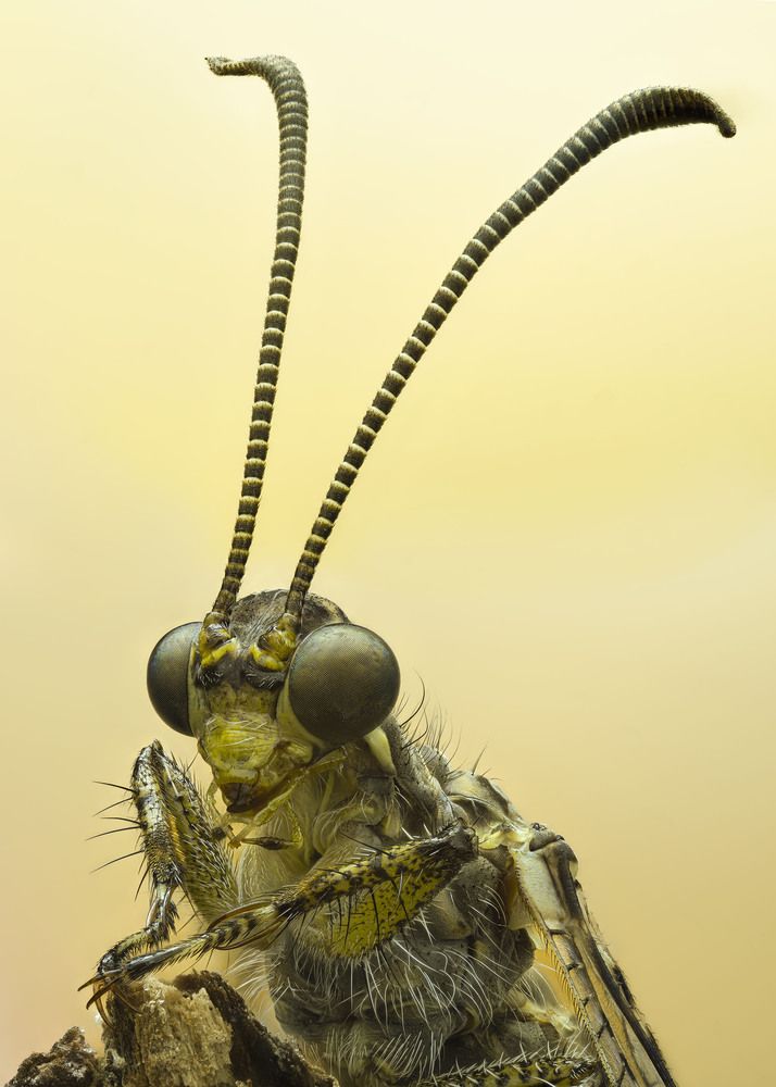 Photograph by Юрий Юрьевич Подгрушный