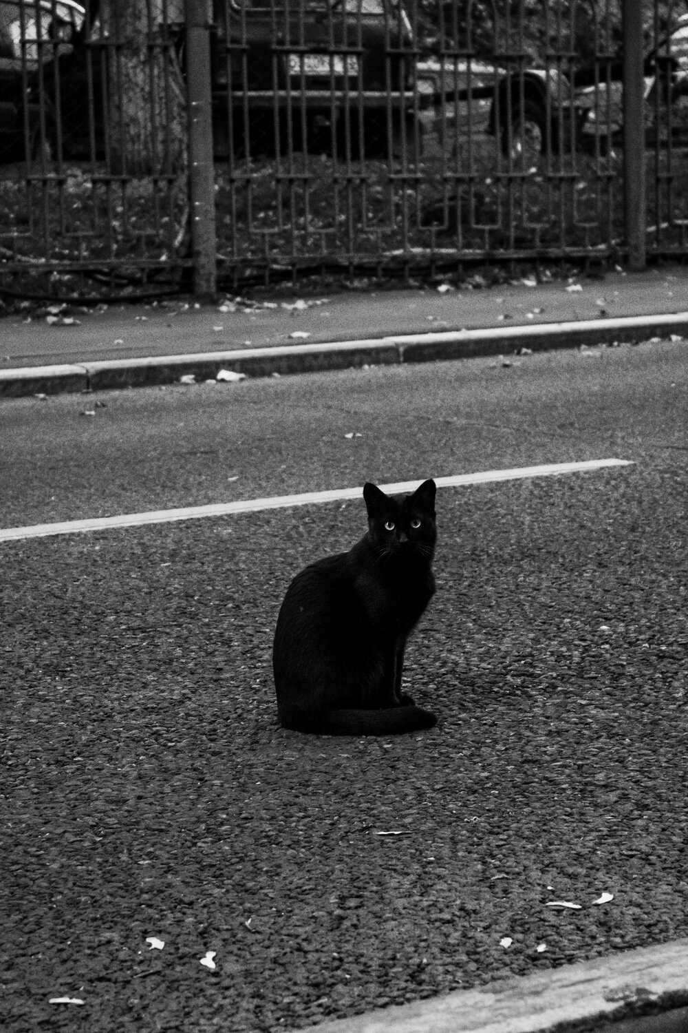 Photo #11978227