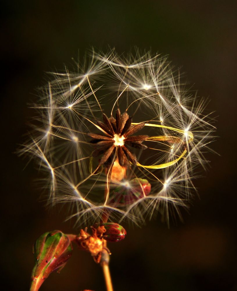 Photograph by Сергей Чеченов