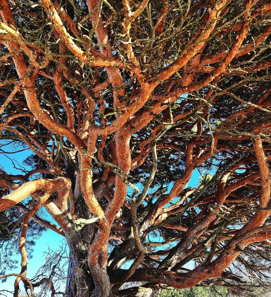 Photograph by Сергей Кулиев