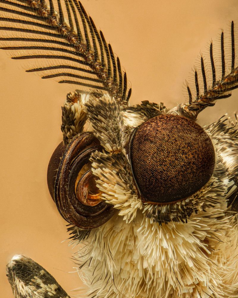 Photograph by Юрий Юрьевич Подгрушный