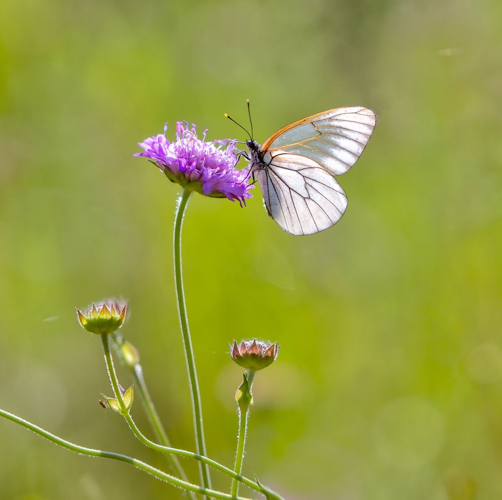 Photograph by Олег Пученков