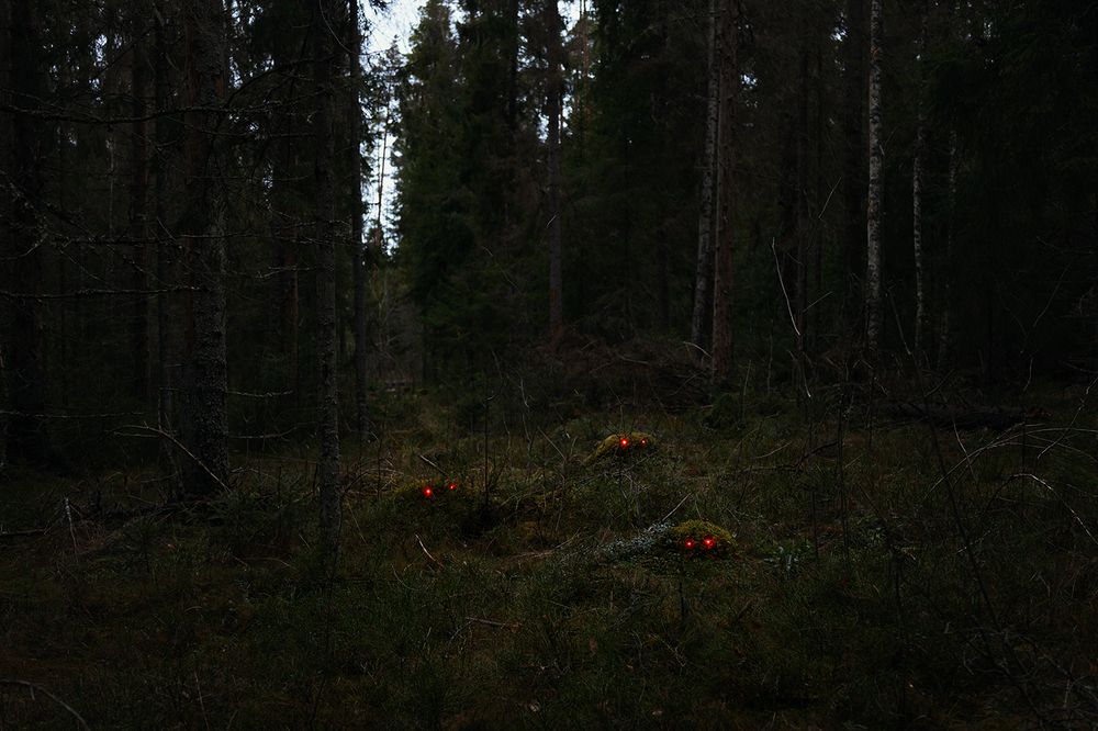 Фотография автора Медведникова Мария