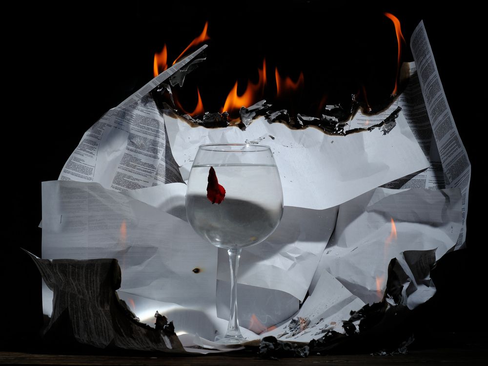 Photograph by Тим Мартынов