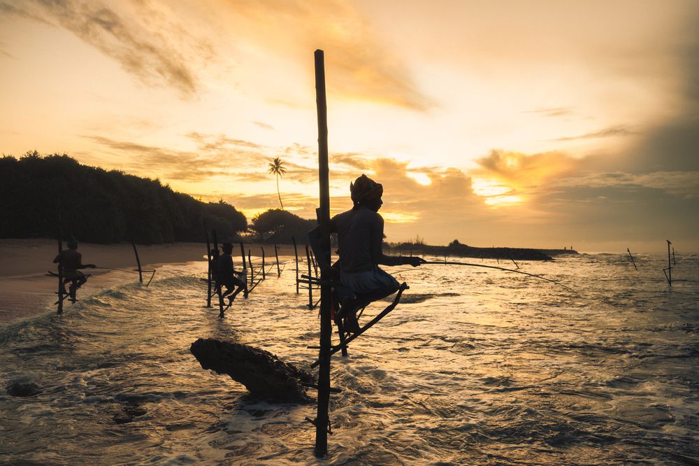 Фотография автора Kimia Shad