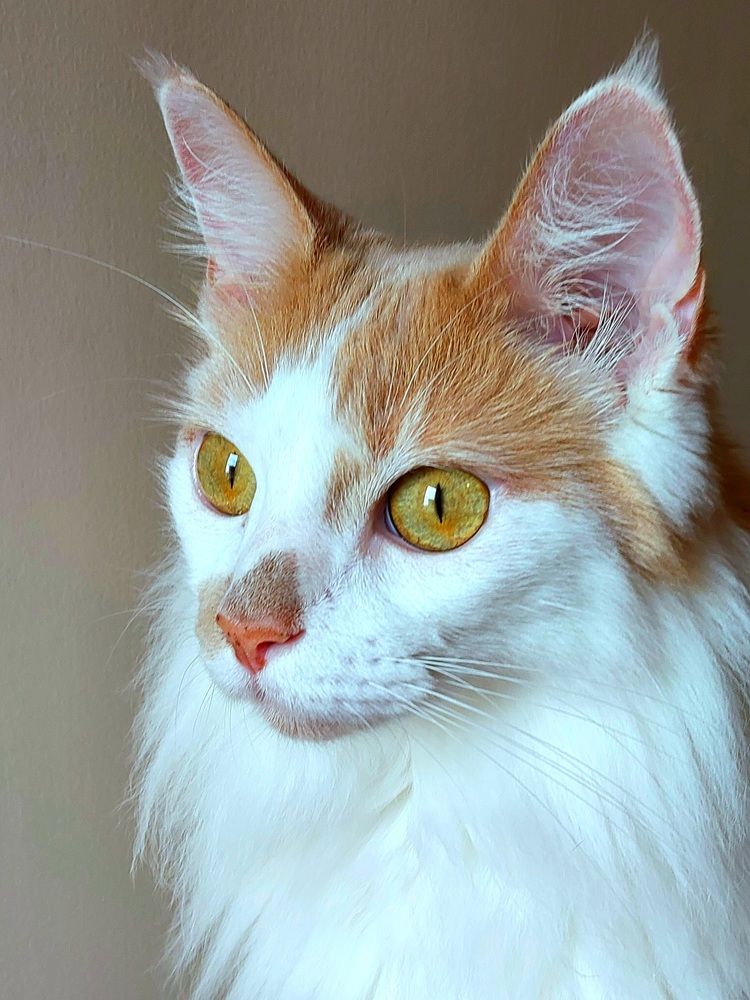 Photograph by Maria da Conceição Queiroz