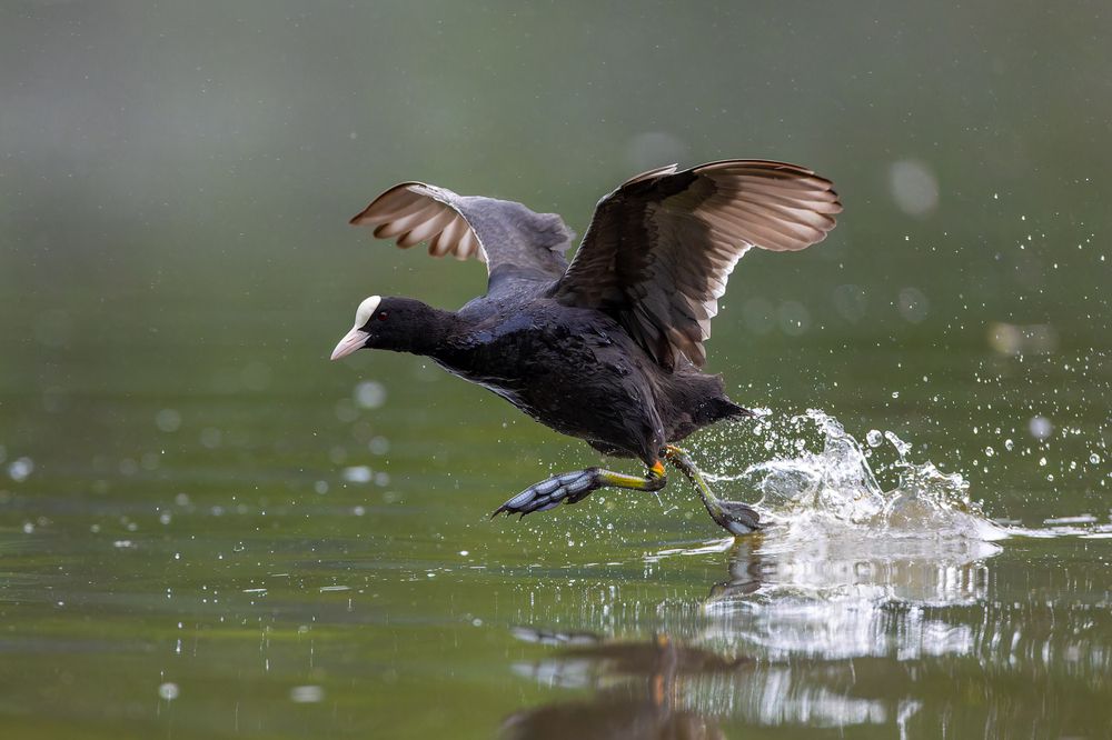 Photograph by Антон Науменко