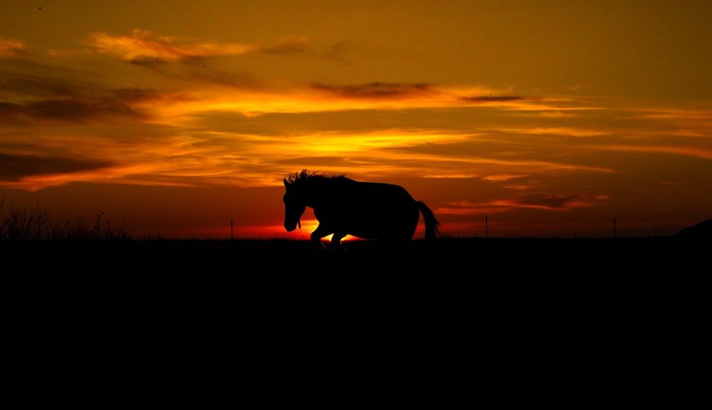 Photograph by Даниил Гордеев