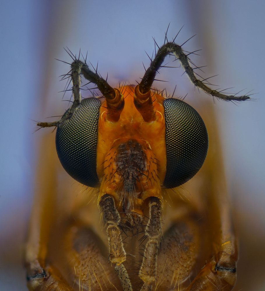 Photograph by Юрий Юрьевич Подгрушный