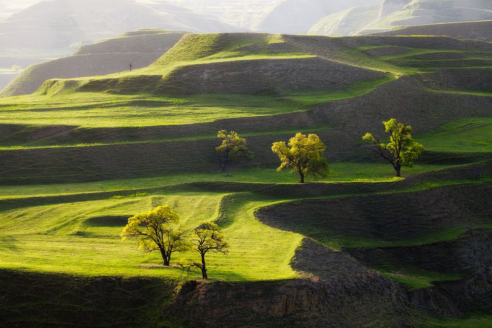 Фотография автора Медведникова Мария