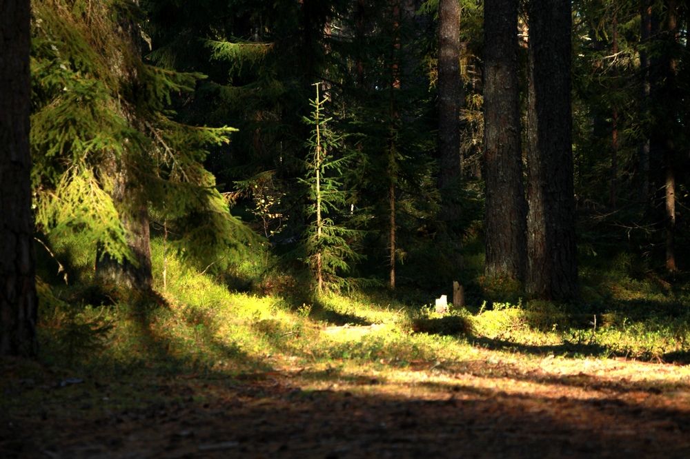 Фотография автора Ольга