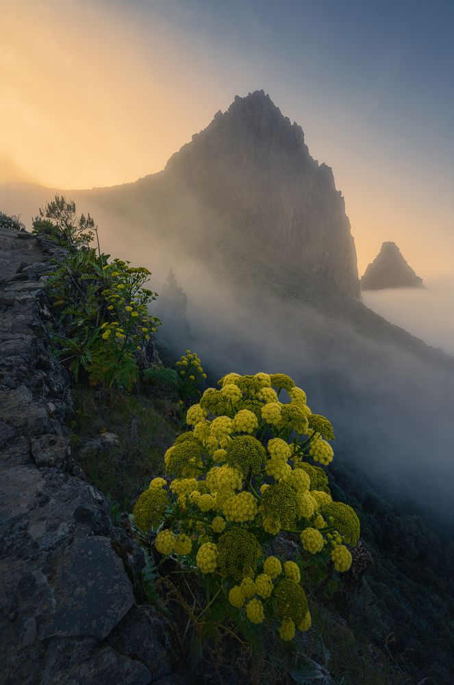 Photograph by Grégoire Pansu