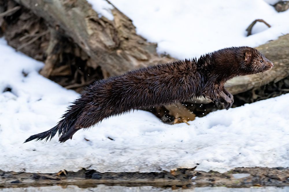 Photograph by Абросимов Александр