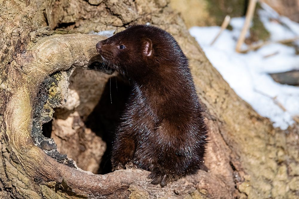 Photograph by Абросимов Александр