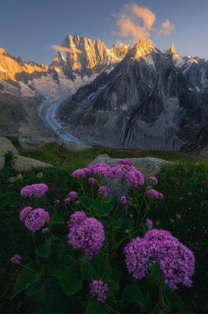 Photograph by Grégoire Pansu