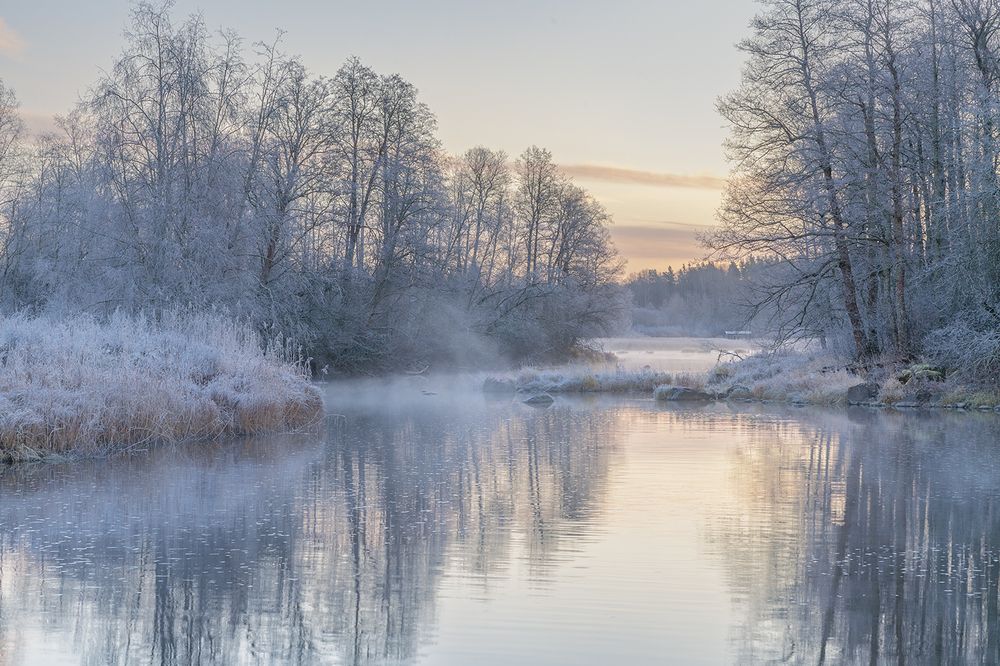Фотография автора Медведникова Мария