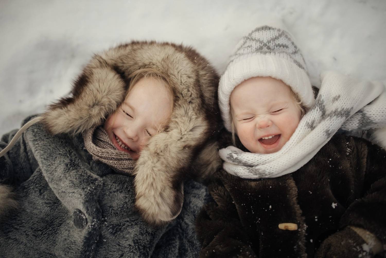 Фотография #11978507