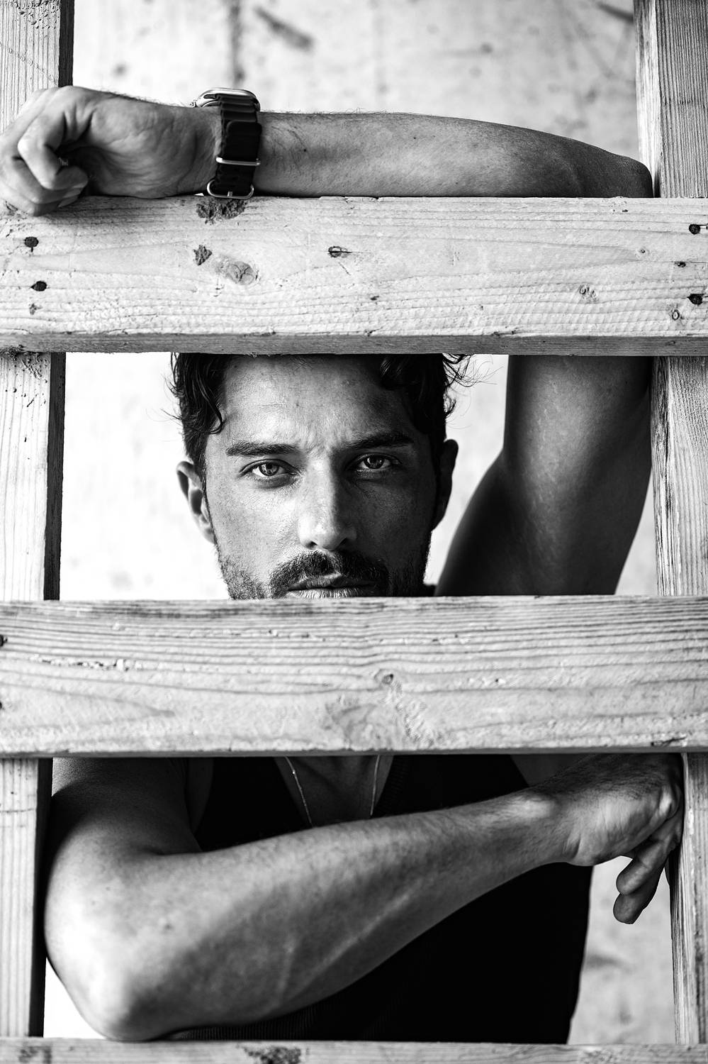 Фотография #11978512