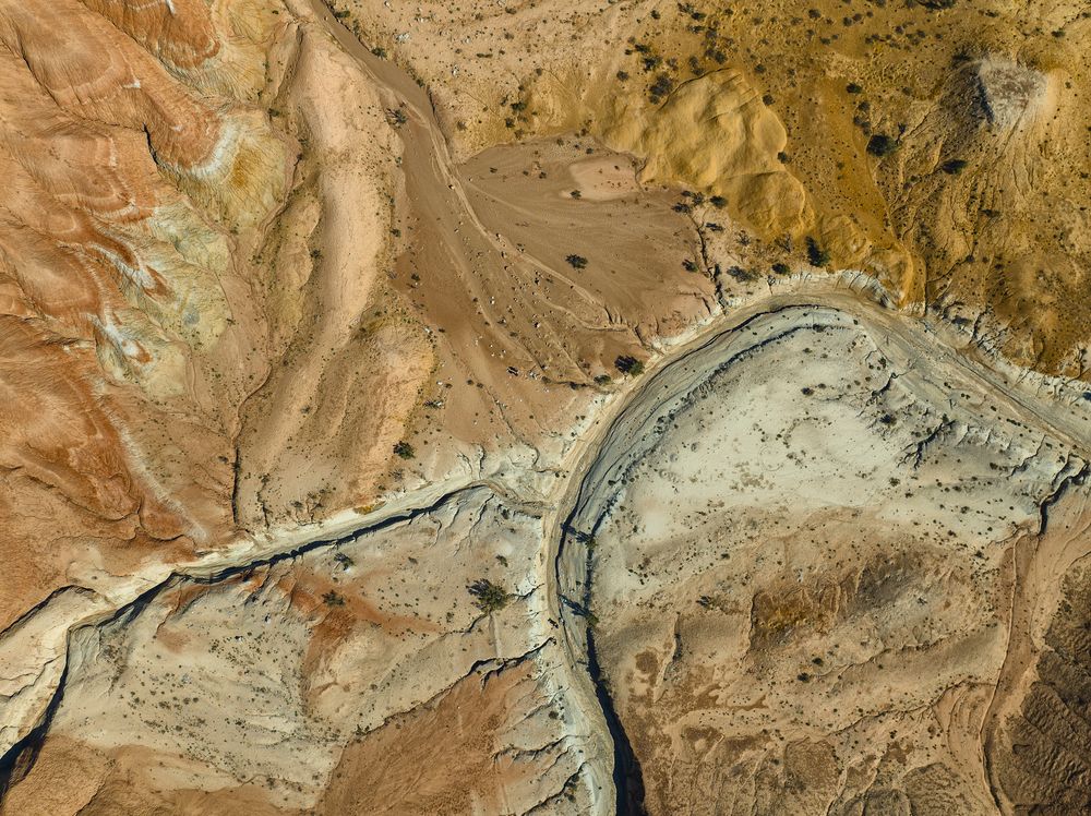 Photograph by Yelena Shander